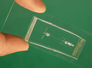 Image: The experimental microfluidic device, which could find use in the cleansing of infected blood (Photo courtesy of MIT).